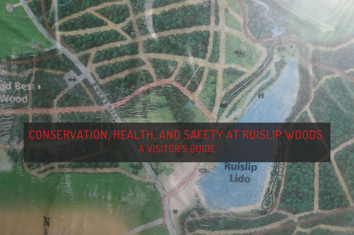 Conservation, health, and safety at Ruislip Woods